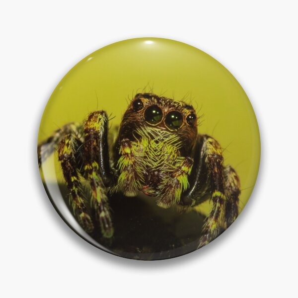 Item preview, Yellow Jumping Spider Macro Shot designed and sold by NickZed.
