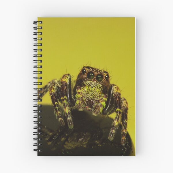 Item preview, Yellow Jumping Spider Macro Shot designed and sold by NickZed.