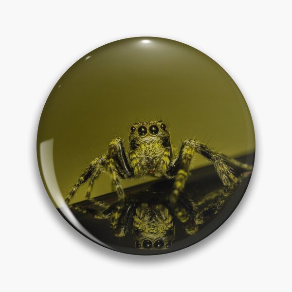Item preview, Yellow Jumping Spider Macro Shot designed and sold by NickZed.
