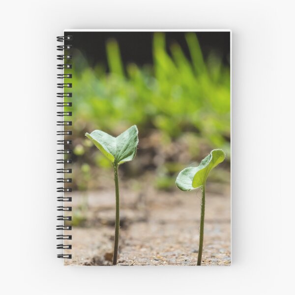 Item preview, Height Ordered Plants designed and sold by NickZed.