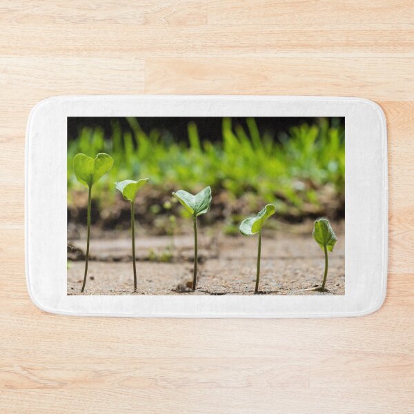 Item preview, Height Ordered Plants designed and sold by NickZed.