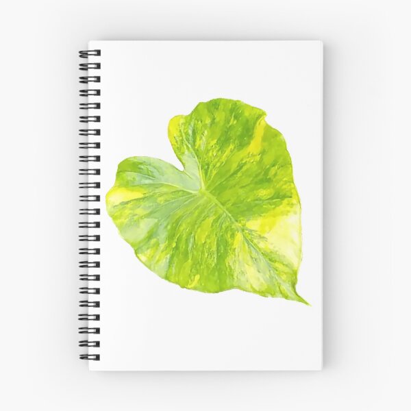 Item preview, A beautiful yellowish - geeen leaf of caladium colour. designed and sold by Trianglegreen.