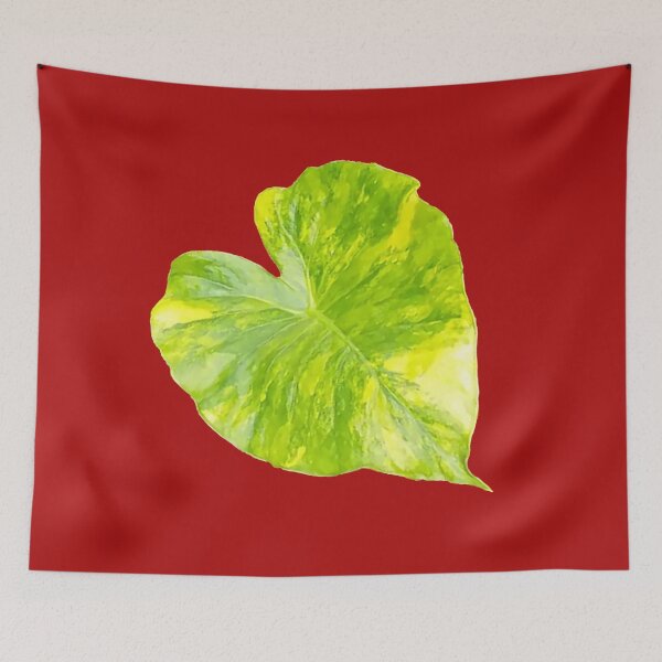 Item preview, A beautiful  yellowish - geeen leaf of caladium colour. designed and sold by Trianglegreen.