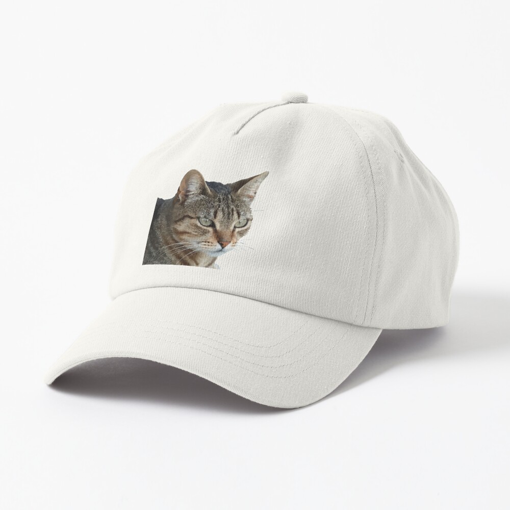 Item preview, Dad Hat designed and sold by taiche.