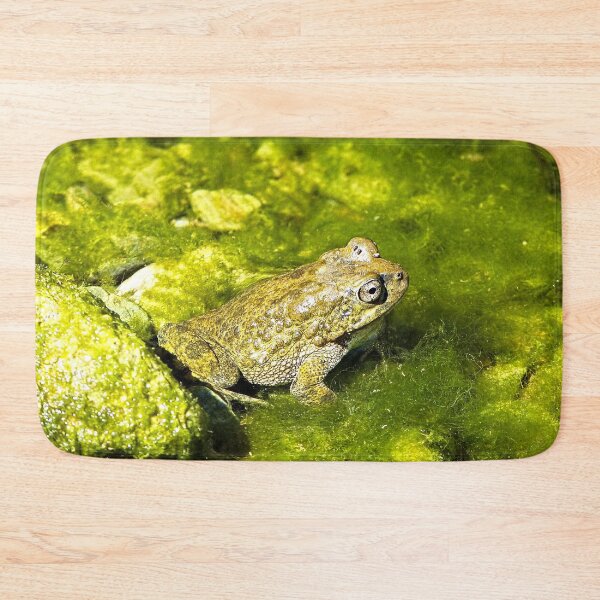 Item preview, Frog Sitting in a Pond designed and sold by worldways.