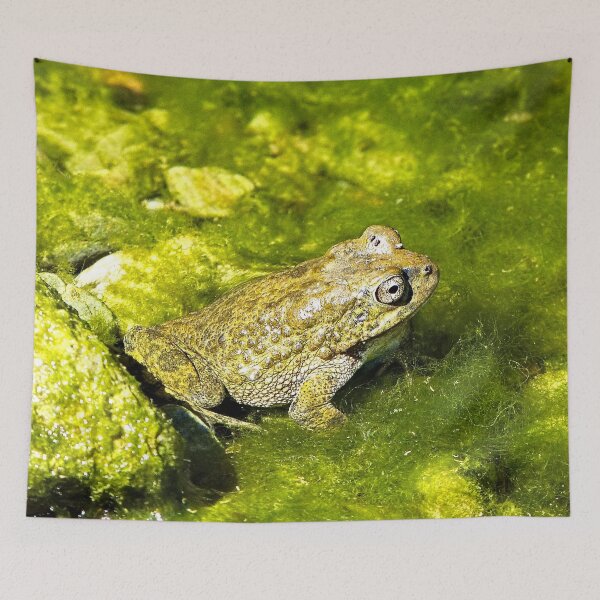 Item preview, Frog Sitting in a Pond designed and sold by worldways.