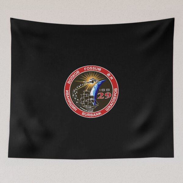 Item preview, Expedition 29 Patch  designed and sold by renvogelpohl.