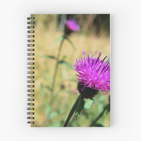 Item preview, Scottish Thistle designed and sold by Miriam Gordon.