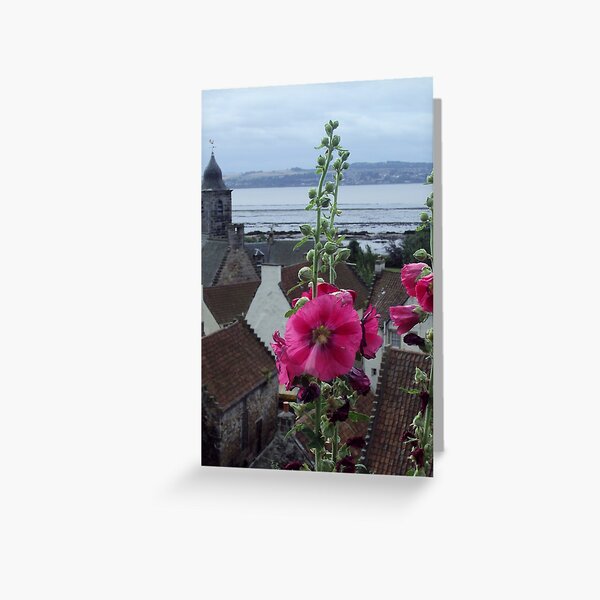 Culross Hollyhock Greeting Card