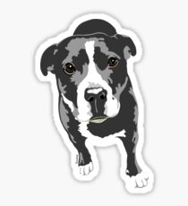 Dante The Staffy Sticker