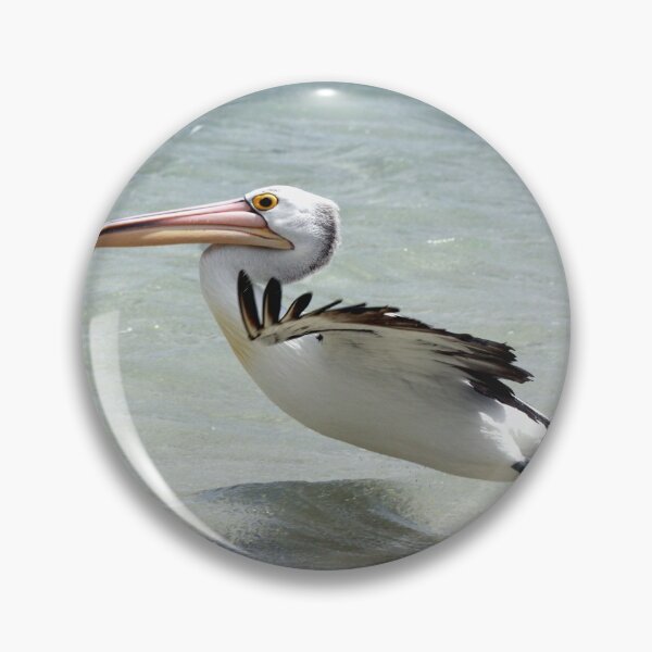 Item preview, pelican take off from beach designed and sold by SarahDownunder.