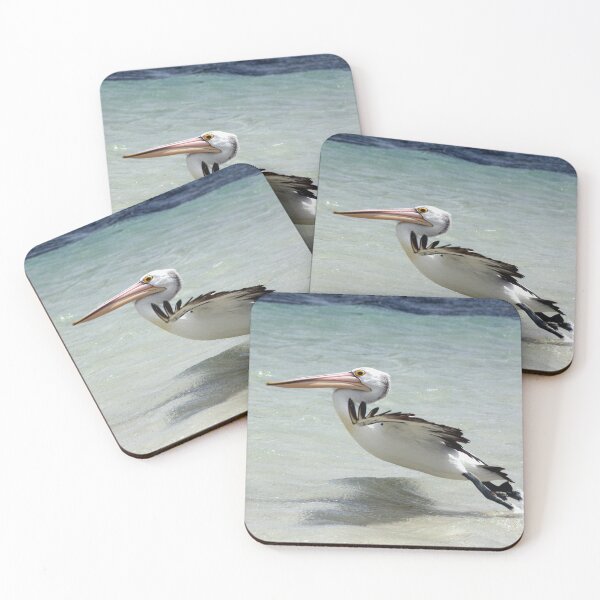 Item preview, pelican take off from beach designed and sold by SarahDownunder.