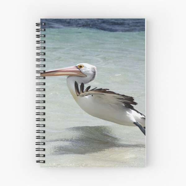 Item preview, pelican take off from beach designed and sold by SarahDownunder.