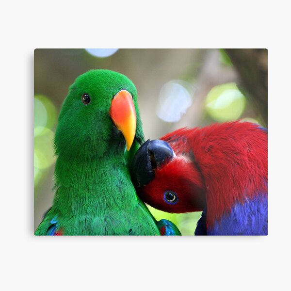 Metal Print