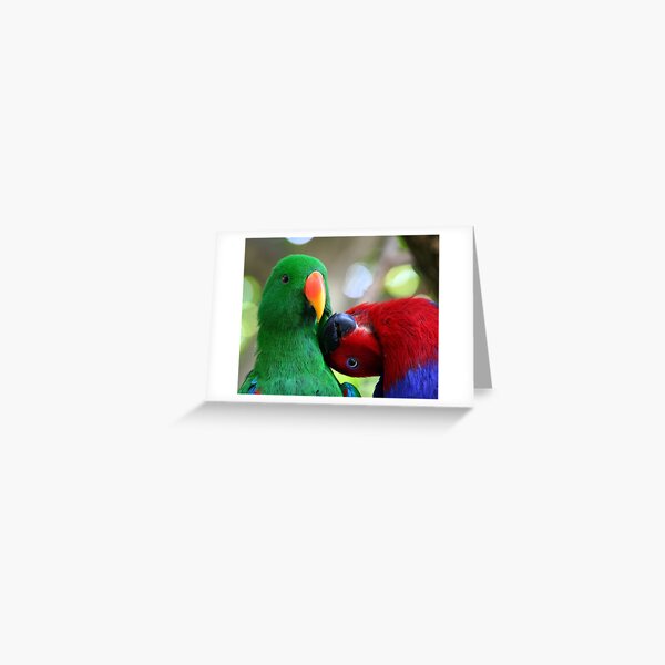 Greeting Card