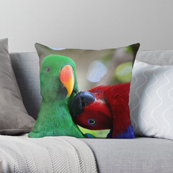 Throw Pillow