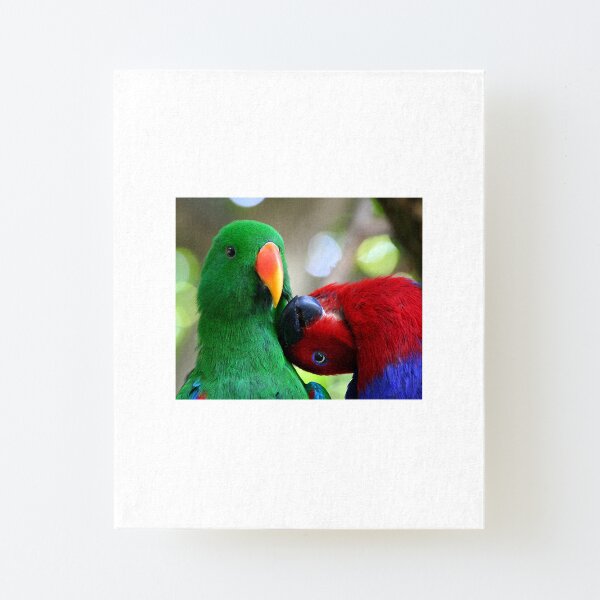 Canvas Mounted Print