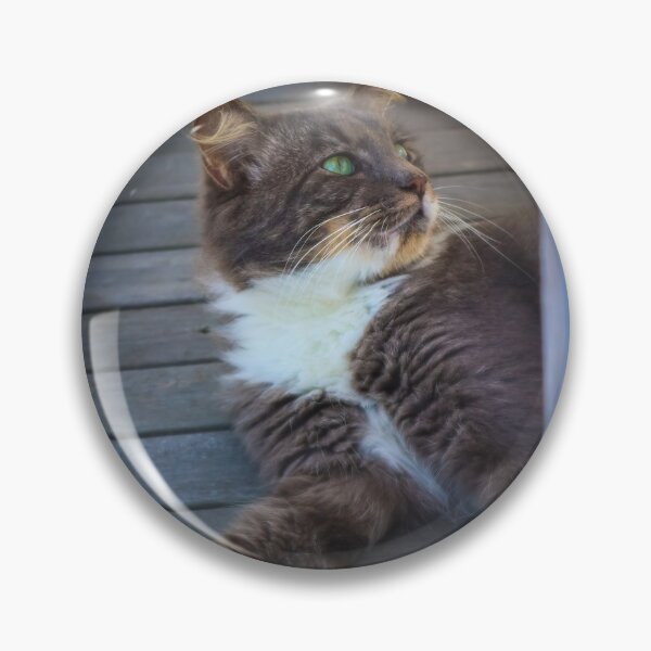 Item preview, Green Eyed Cat designed and sold by NickyLeighPhoto.