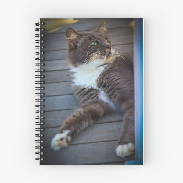Item preview, Green Eyed Cat designed and sold by NickyLeighPhoto.