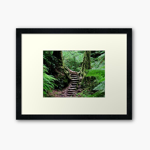 Item preview, Rainforest Steps designed and sold by bluegumbill.