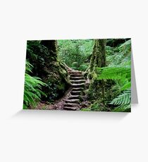 Rainforest Steps Greeting Card