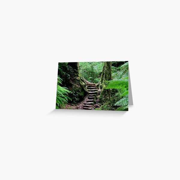Rainforest Steps Greeting Card