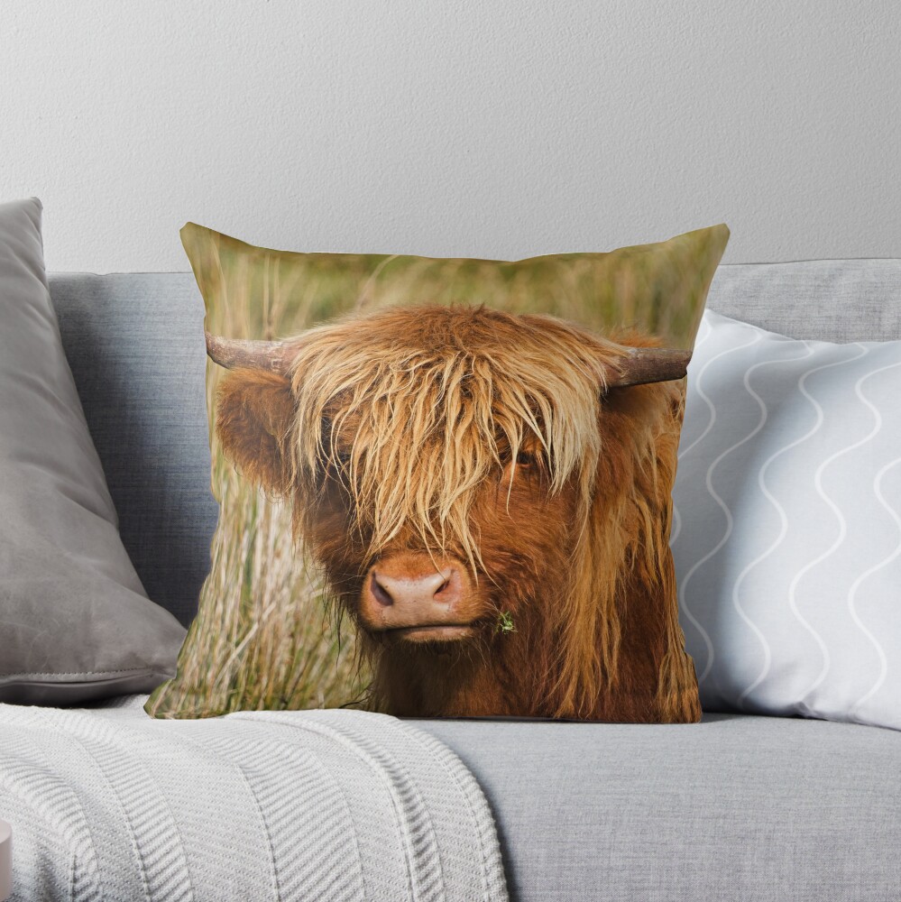 fluffy cow print pillow