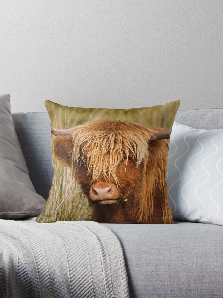 cow skin throw pillows