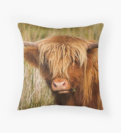 highland cow throw pillow