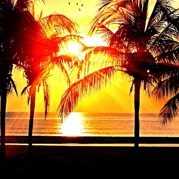 Artwork thumbnail, Sunset design by Roshan Keenoo