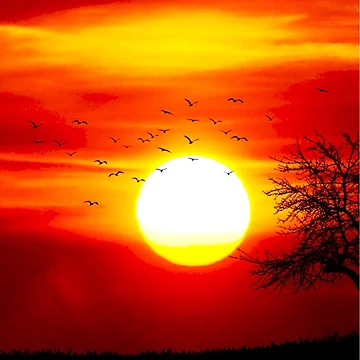 Artwork thumbnail, Sunset design by Roshan Keenoo