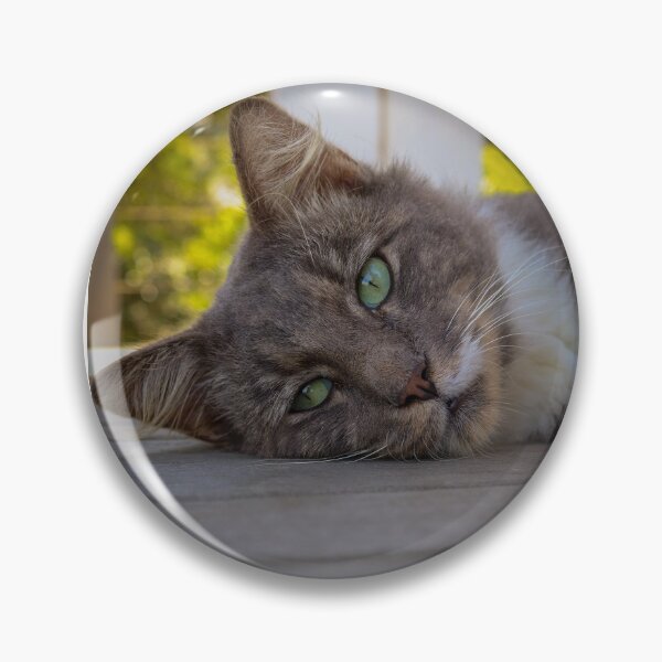 Item preview, Green Eyed Cat designed and sold by NickyLeighPhoto.