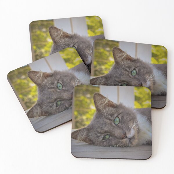 Item preview, Green Eyed Cat designed and sold by NickyLeighPhoto.