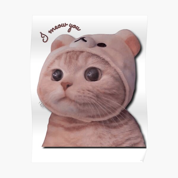 Cute cat - I meow you - cat - paws Poster