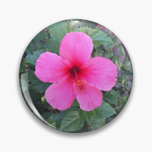 Item preview, California Flower Beauty designed and sold by ArmchairTravel.