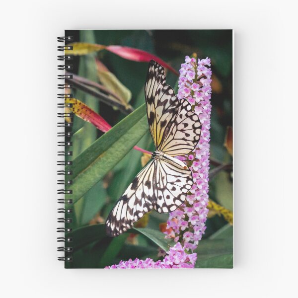 Item preview, Yellow Butterfly perched on a flower designed and sold by Michael Deemer.