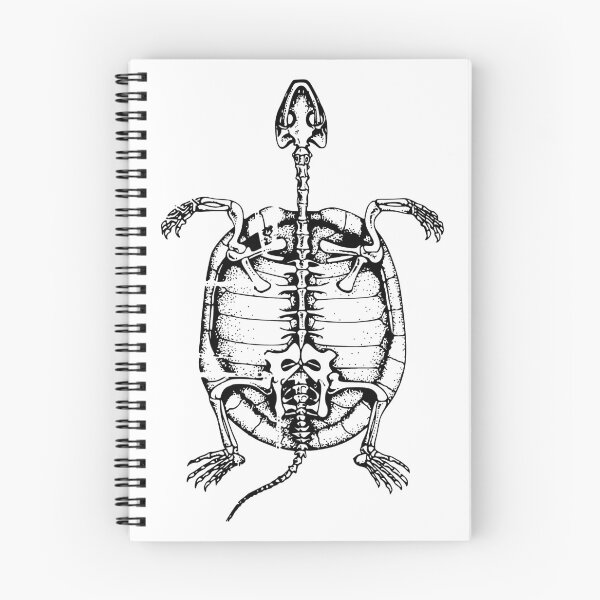 Item preview, Turtle Skeleton Vintage Print designed and sold by PorcelaineGhost.