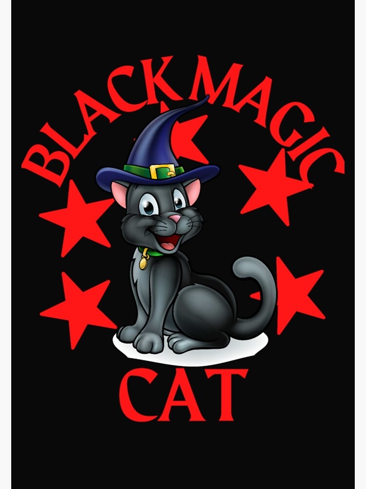 Póster «GATO MÁGICO NEGRO, GATO MÁGICO, MEME MÁGICO NEGRO, GATO KAWAII ...