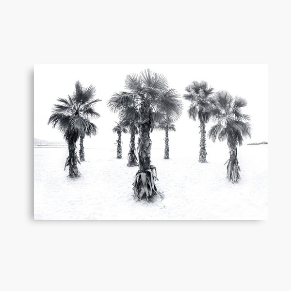 Metal Print