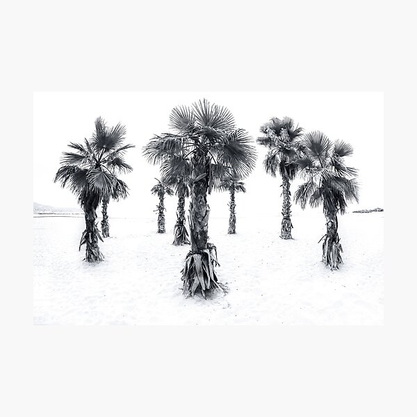 Photographic Print