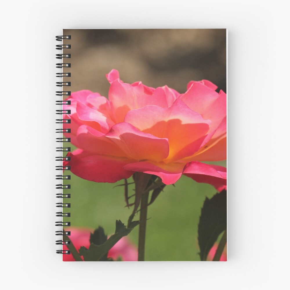 Item preview, Spiral Notebook designed and sold by Gary Horner.
