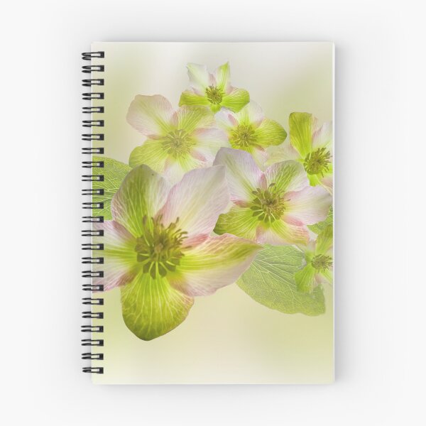 Item preview, Winter rose designed and sold by Kath Gillies.