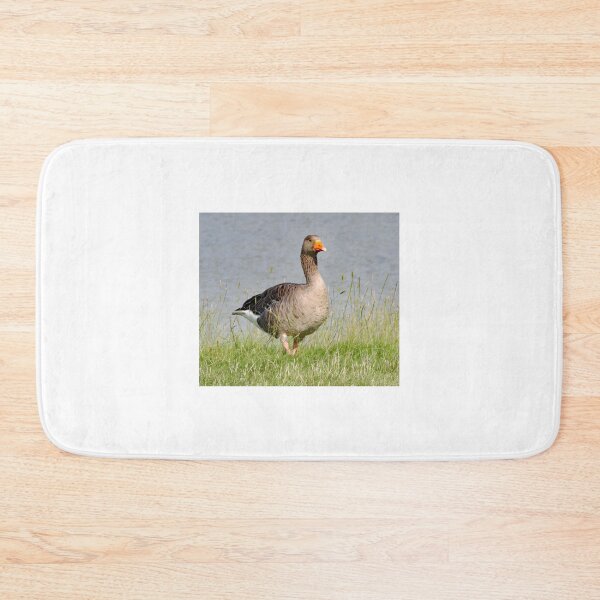 Item preview, A Wonderful Greylag Goose designed and sold by Karen Thomson.