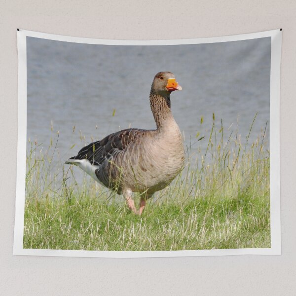 Item preview, A Wonderful Greylag Goose designed and sold by Karen Thomson.