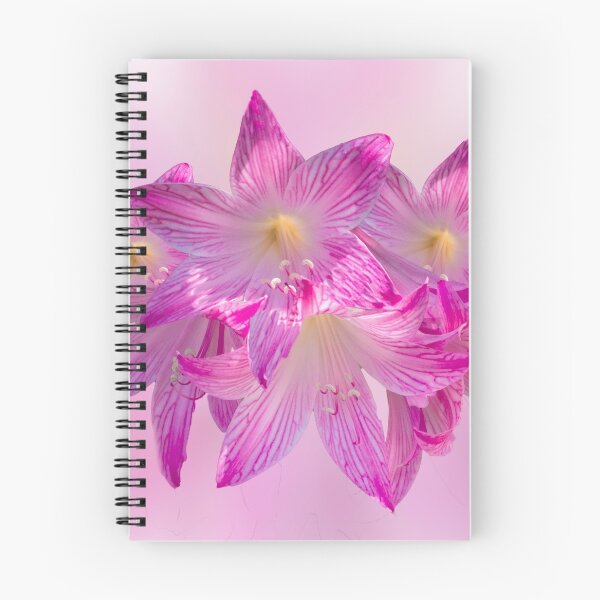 Item preview, Pink Liliums designed and sold by Kath Gillies.