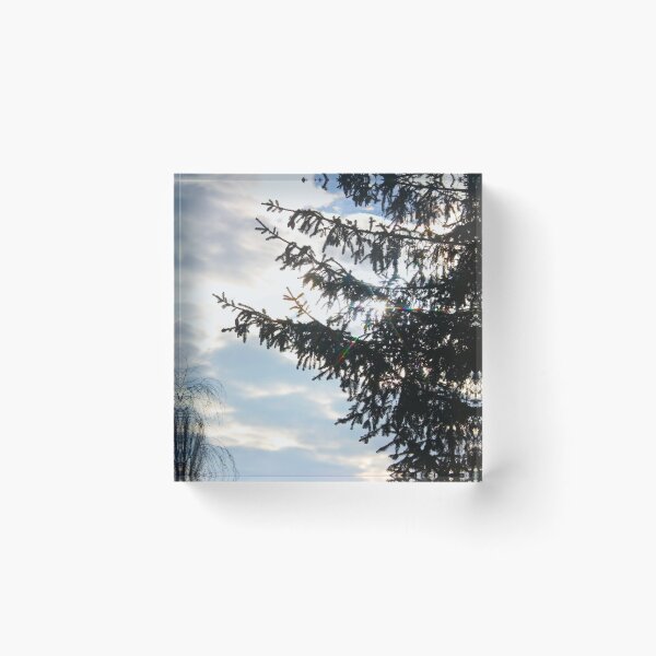 Item preview, Sunny Spruce designed and sold by Asaha17.