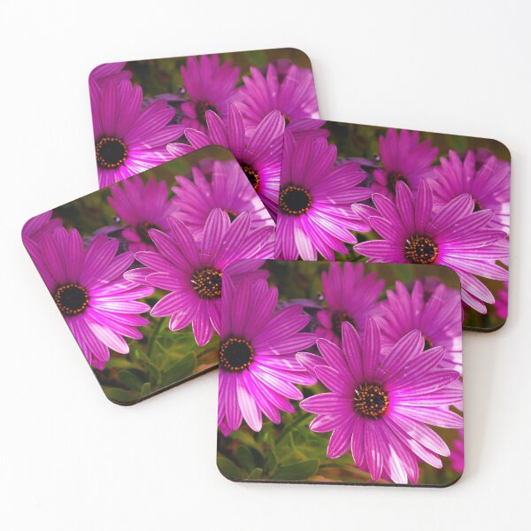 Item preview, Purple daisies designed and sold by jaynerushton.