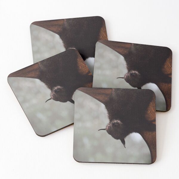 Item preview, Flying Fox  designed and sold by JadeRiverImages.