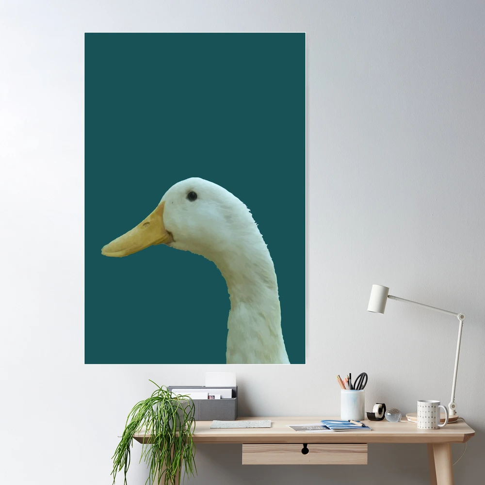 duck.care ataie (duckcare) - Profile