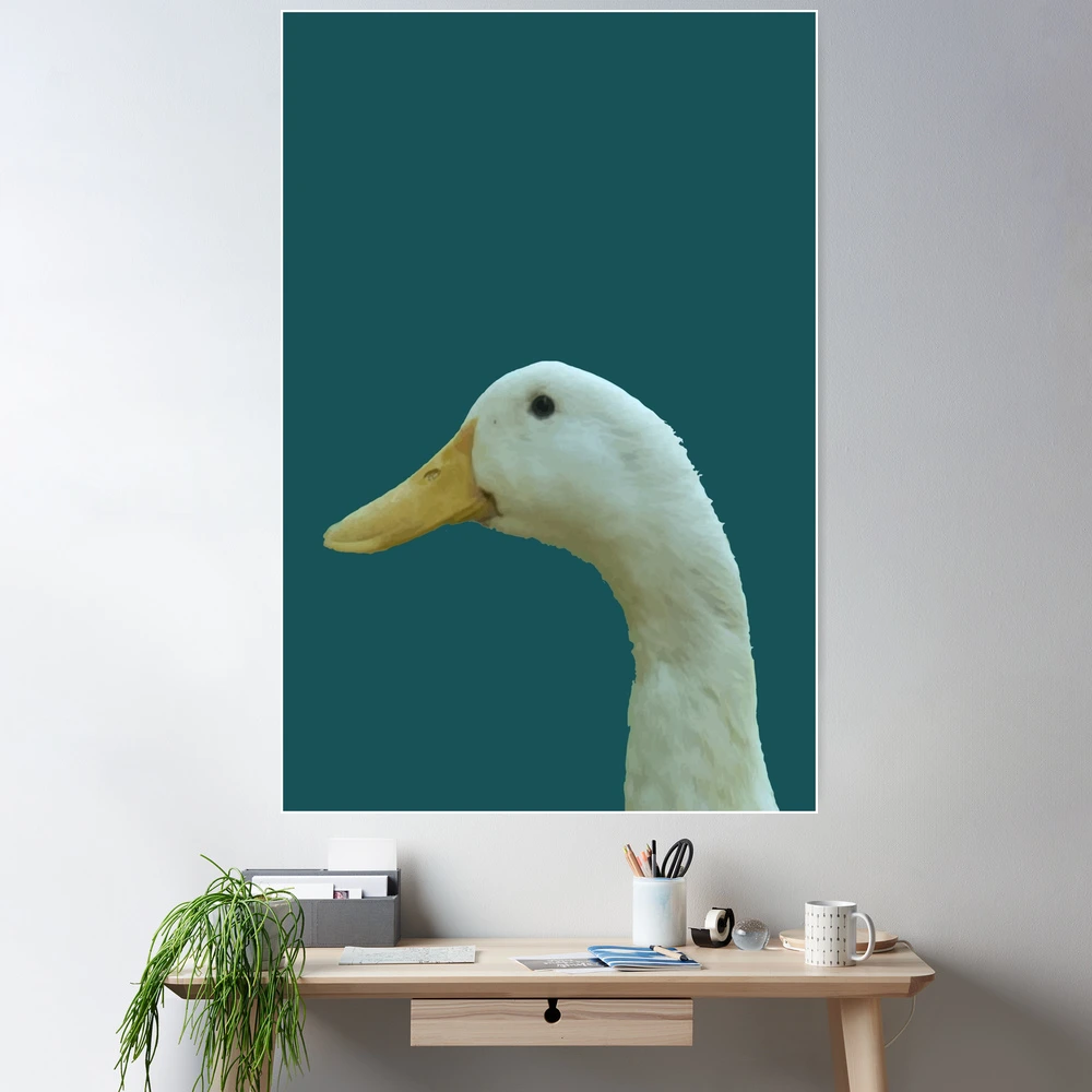 duck.care ataie (duckcare) - Profile